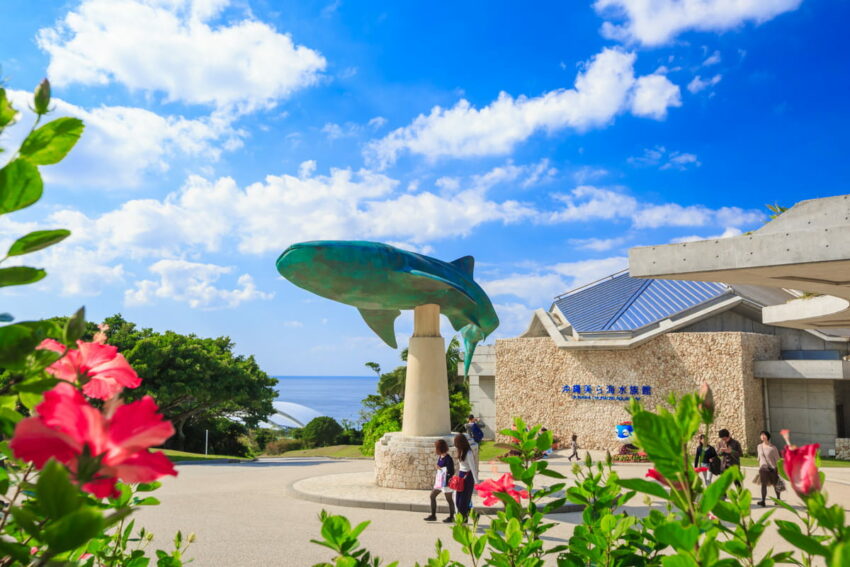 燈會好玩卡 沖繩|美麗海水族館攻略|必看設施、參觀路線、表演時間、交通、門票資訊完整懶人包 燈會好玩卡 2022 鯨鯊紀念碑