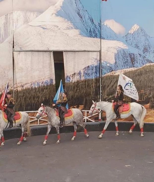 清境農場，觀山牧區的利比扎馬術秀一場約30分鐘，看著表演者在馬背上做出翻滾、倒立等特技動作，真的刺激又精彩哎！