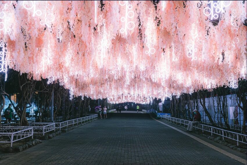 屏東海生館 2022屏東聖誕節|屏東公園下雪了!16座耶誕燈區搶先看,交通、活動、住宿、美食、景點資訊總整理 屏東聖誕節 2023 2022屏東聖誕節