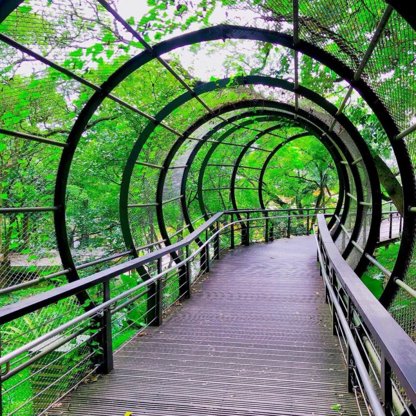 虎頭山公園|不可錯過的桃園夜景聖地、虎頭山環保公園、周邊景點懶人包攻略 2023 虎頭山公園步道