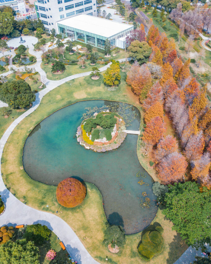 全台落羽松景點｜網羅台灣落羽松秘境/落羽松大道、秋冬賞季期懶人包，快來一場唯美浪漫之旅吧！