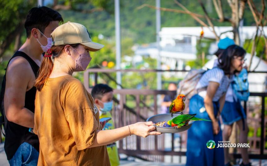 宜蘭包棟民宿 九九峰動物樂園|亞洲最大鳥類主題動物園,和鳥兒近距離互動吧|園區介紹、門票優惠、交通資訊 宜蘭包棟民宿 2022 九九峰動物樂園 九九峰動物樂園|亞洲最大鳥類主題動物園,和鳥兒近距離互動吧|園區介紹、門票優惠、交通資訊 2 2022