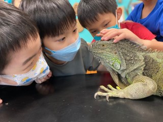 士林科教館 台北親子景點|士林科教館5大活動、科教館門票優惠、交通停車、必玩設施,好玩又好拍! 士林科教館 2023 士林科教館,士林科教館門票,士林科教館展覽,IG打卡景點,teamlab, 一日遊, 交通, 台北, 台北景點, 台北百大景點, 台北科教館, 台灣燈會好玩卡景點, 國立科學教育館, 士林, 士林科教館, 室內, 展覽, 打卡, 推薦, 教育, 景點, 科學, 科技, 科教館, 聯票, 藝術, 親子,親子景點,門票優惠