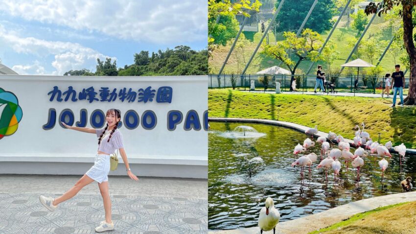 九九峰動物樂園｜亞洲最大鳥類主題動物園介紹、門票優惠、交通資訊