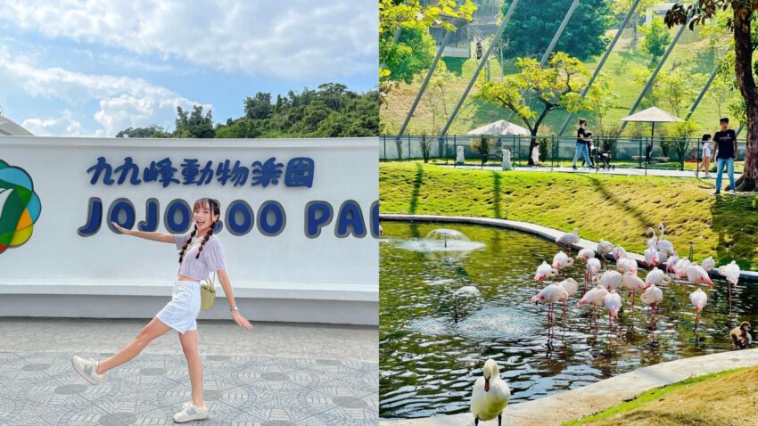 九九峰動物樂園｜亞洲最大鳥類主題動物園，和鳥兒近距離互動吧｜園區介紹、門票優惠、交通資訊 1 2024