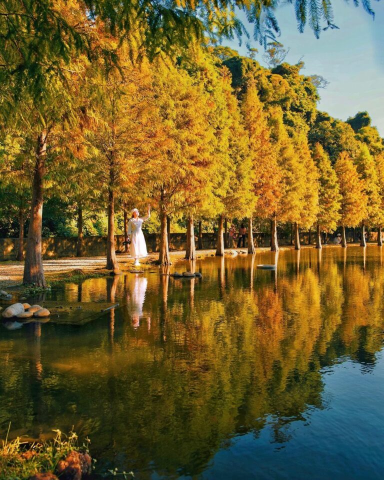 My Image 15
