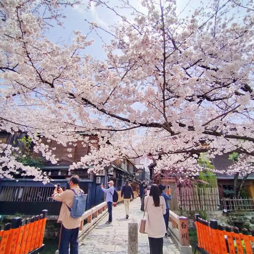 清水寺一日遊,清水寺一日遊,清水寺景點,清水寺景點,京都清水寺一日遊,清水寺交通方式,清水寺交通,清水寺交通,清水寺到伏見稻荷,伏見稻荷到清水寺,京都車站到清水寺,清水寺到京都車站,清水寺由來,清水寺傳說,清水寺祭典,清水寺夜間參拜,清水寺櫻花,清水寺楓葉,清水寺景點推薦,清水寺和服,清水寺介紹,三重塔,地主神社,清水寺音羽の瀧,清水寺本堂千手觀音,清水舞台,清水寺周邊景點推薦,花見小路,八坂神社,ねねの道-寧寧之道,高台寺,將軍塚青龍殿,石塀小路,八坂塔,庚申堂,二年坂,三年坂,清水寺星巴克,清水寺必買推薦,伴手禮,京都七味唐辛子,MALEBRANCHE濃茶夾心餅乾,清水寺御守,香十,香片香包,清水寺美食推薦,清水寺小吃,藤菜美醬油糰子,Kyo-baum,抹茶年輪蛋糕,清水寺午餐,麵藏人,蕎麥麵,阿古屋茶屋,茶泡飯,清水寺晚餐,京都衹園天婦羅,八坂圓堂,Gion Bansan,清水寺伴手禮,清水寺,清水寺怎麼玩,