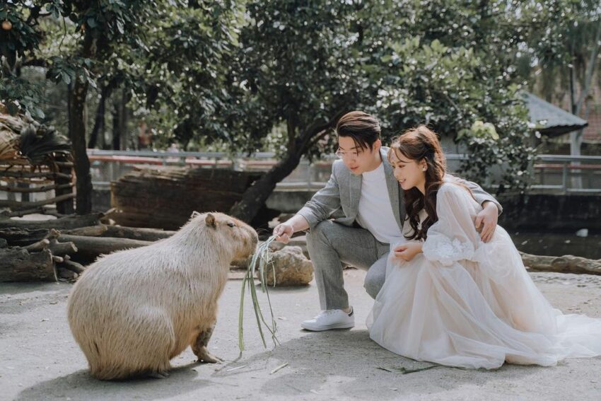 頑皮世界野生動物園，台南景點