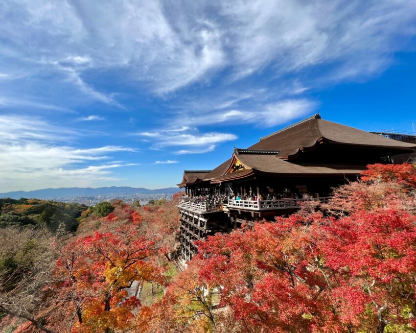 清水寺一日遊,清水寺一日遊,清水寺景點,清水寺景點,京都清水寺一日遊,清水寺交通方式,清水寺交通,清水寺交通,清水寺到伏見稻荷,伏見稻荷到清水寺,京都車站到清水寺,清水寺到京都車站,清水寺由來,清水寺傳說,清水寺祭典,清水寺夜間參拜,清水寺櫻花,清水寺楓葉,清水寺景點推薦,清水寺和服,清水寺介紹,三重塔,地主神社, 清水寺音羽の瀧,清水寺本堂千手觀音,清水舞台,清水寺周邊景點推薦,花見小路,八坂神社,ねねの道-寧寧之道,高台寺,將軍塚青龍殿,石塀小路,八坂塔,庚申堂,二年坂,三年坂,清水寺星巴克,清水寺必買推薦,伴手禮,京都七味唐辛子,MALEBRANCHE濃茶夾心餅乾,清水寺御守,香十,香片香包,清水寺美食推薦,清水寺小吃,藤菜美醬油糰子,Kyo-baum,抹茶年輪蛋糕,清水寺午餐,麵藏人,蕎麥麵,阿古屋茶屋,茶泡飯,清水寺晚餐,京都衹園天婦羅,八坂圓堂,Gion Bansan,清水寺伴手禮,清水寺,清水寺怎麼玩,