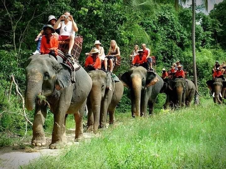 芭達雅旅遊必備｜PATTAYA FUNPASS、一票暢遊芭達雅12大人氣景點、主題樂園、動物園、水上市場通通有、愈玩省愈多！ 25 2024