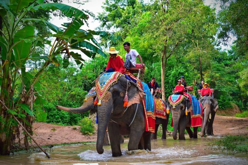 芭達雅旅遊必備｜PATTAYA FUNPASS、一票暢遊芭達雅12大人氣景點、主題樂園、動物園、水上市場通通有、愈玩省愈多！ 26 2024