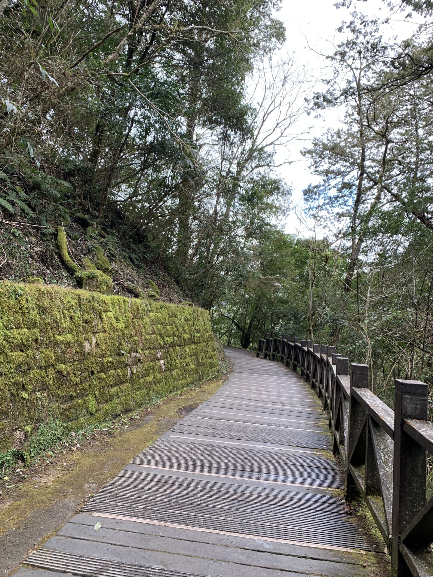 拉拉山 拉拉山國家森林遊樂區開園囉，100元逛整天，期間限定半價優惠門票這裡買！行程交通推薦懶人包 3 2023