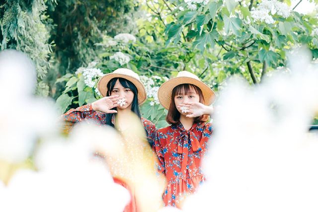 奧萬大 全台油桐花景點推薦│油桐花季,浪漫五月雪,全台賞油桐花秘境通通在這裡! 奧萬大 2023 油桐花,油桐花季,全台油桐花,油桐花景點,北部油桐花,中部油桐花,苗栗油桐花,南部油桐花,東部油桐花,台北油桐花,桃園油桐花,新竹油桐花,南投油桐花,嘉義油桐花,台中油桐花,彰化油桐花,雲林油桐花,台南油桐花,台東油桐花,花蓮油桐花,宜蘭油桐花