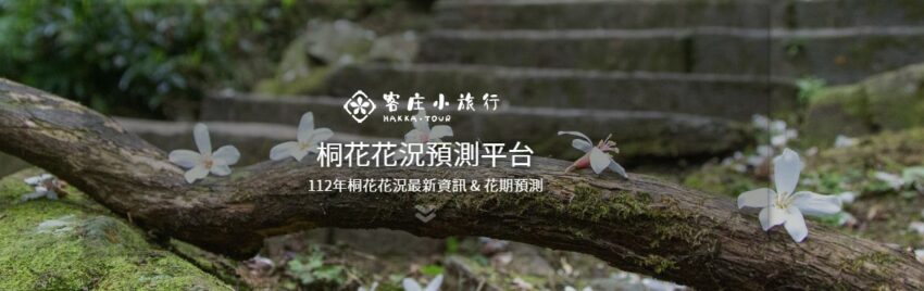 奧萬大 全台油桐花景點推薦│油桐花季,浪漫五月雪,全台賞油桐花秘境通通在這裡! 奧萬大 2023 油桐花,油桐花季,全台油桐花,油桐花景點,北部油桐花,中部油桐花,苗栗油桐花,南部油桐花,東部油桐花,台北油桐花,桃園油桐花,新竹油桐花,南投油桐花,嘉義油桐花,台中油桐花,彰化油桐花,雲林油桐花,台南油桐花,台東油桐花,花蓮油桐花,宜蘭油桐花