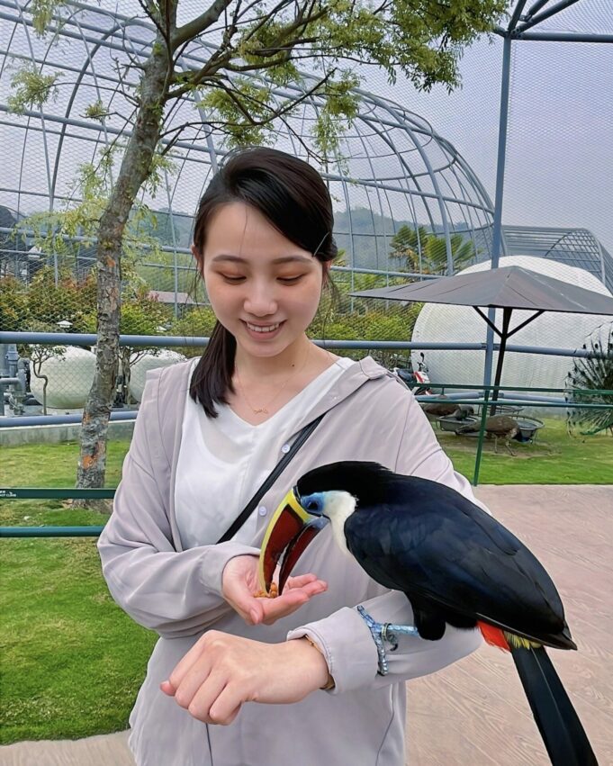 九九峰動物樂園｜亞洲最大鳥類主題動物園，和鳥兒近距離互動吧｜園區介紹、門票優惠、交通資訊 4 2024