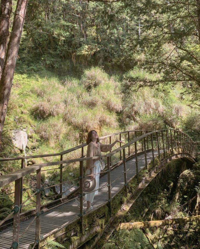 太平山國家森林遊樂區 【太平山國家森林遊樂區】太平山一日遊推薦，門票優惠/遊玩攻略，太平山住宿景點推薦 5 2024