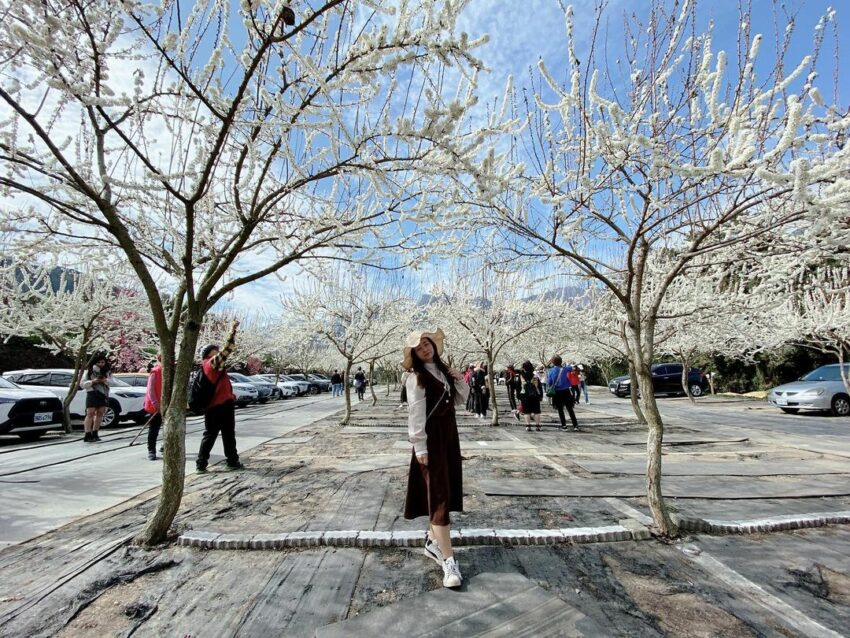 卓也小屋 玉山溫泉軸|南投東埔二日遊,帶你登玉山、泡溫泉、體驗原鄉部落 卓也小屋 2023 玉山溫泉軸│草坪頭玉山觀光茶園