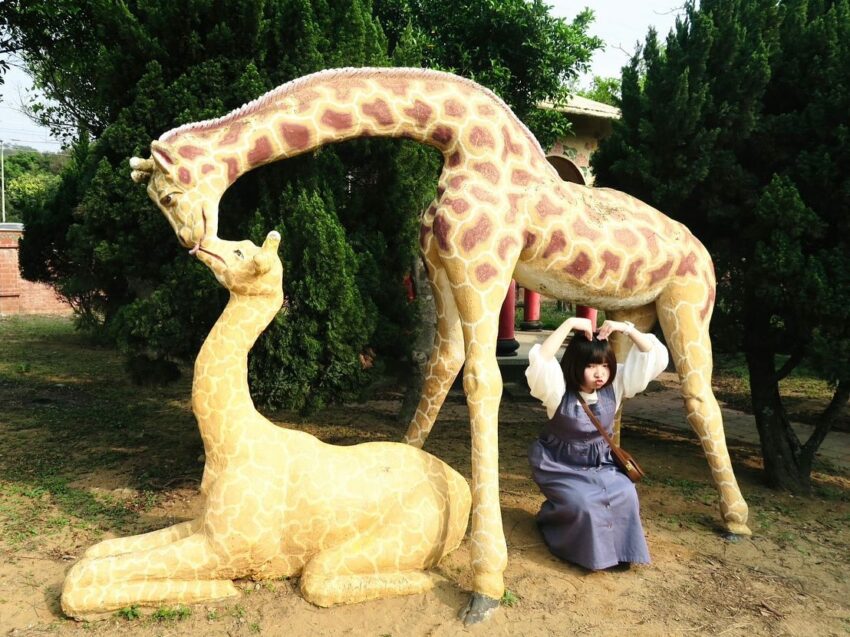 阿里山景點 【苗栗景點】苗栗一日遊推薦,最新90個必去熱門景點、私房景點、秘境景點、好玩行程路線都在這! 阿里山景點 2023 苗栗景點秋茂園