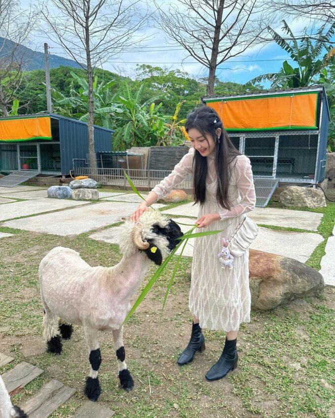 花蓮景觀餐廳｜推薦16間超好拍景觀咖啡廳、玻璃屋、動物農場，山景、海景隨你選！ 2 2024