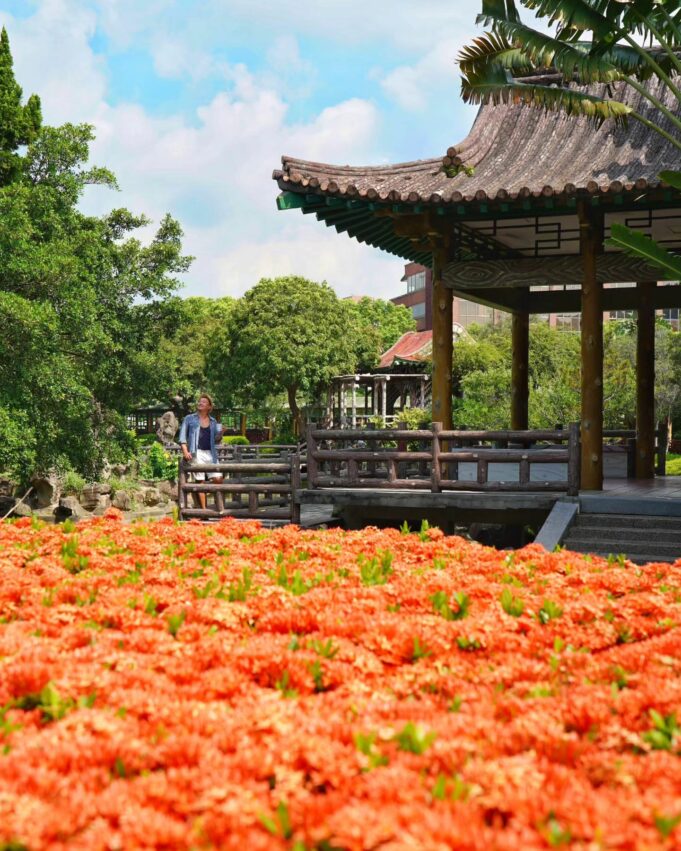 台北景點推薦9個士林景點和士林一日遊，天母萬聖節、戶外踏青、室內遛小孩、IG打卡都可以！ 31 2024