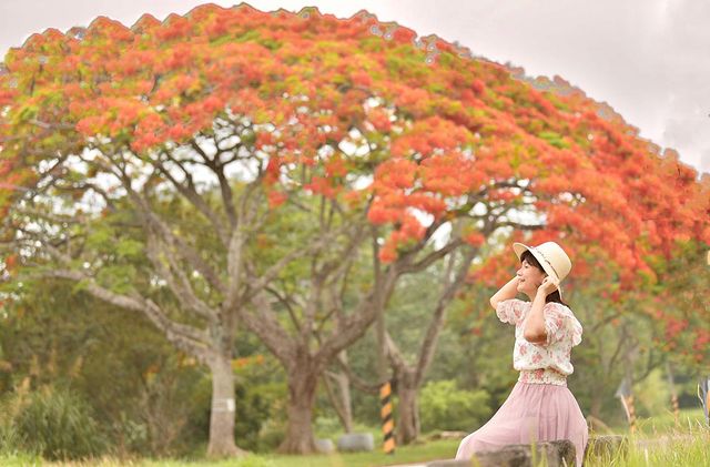 嘉義景點 在地人的嘉義景點推薦40選!嘉義親子景點、嘉義市景點、嘉義觀光工廠等依種類地區通通有。 嘉義景點 2023 嘉義景點,嘉義景点,嘉義佐登妮絲城堡,嘉義親子景點,嘉義新景點,嘉義一日游,嘉義市景點,嘉義景點兩天一夜,嘉義景點親子,嘉義兩天一夜,嘉義山區景點,嘉義好玩的地方,嘉義城堡觀光工廠,嘉義景點美食,嘉義網美景點,嘉義一日遊景點,嘉義觀光景點,嘉義自然景點,天空步道嘉義,嘉義室內景點,嘉義玩水,嘉義私房景點,嘉義觀光工廠,嘉義景點一日遊,嘉義好玩,嘉義市區景點,嘉義景點觀光工廠,嘉義景點地圖,嘉義昆蟲館,嘉義火車站附近景點,嘉義旅遊景點,嘉義晚上景點,嘉義避暑景點,嘉義戶外景點,嘉義夜晚景點,嘉義三隻小猪,嘉義旅游,嘉義景點推薦,嘉義景點2023,新嘉大昆蟲館嘉義親子景點,嘉義景點2022,嘉義火車站景點,嘉義阿里山兩天一夜,嘉義玩水景點,嘉義輕旅行,嘉義故宮附近景點,嘉義親子室內景點,嘉義瀑布景點,嘉義風景區,嘉義咖啡觀光工廠,嘉義歐式城堡,城堡嘉義,嘉義歐風城堡,嘉義市區一日遊,嘉義佐丹妮絲城堡,嘉義歐洲城堡,嘉义景点,嘉義老街推薦,嘉義佐丹妮絲,嘉義台南二日遊,嘉義必玩,嘉義美景點,嘉義火車站附近景點走路,嘉義景點城堡,嘉義好玩的景點,嘉義火車站到太平雲梯,嘉義梅花鹿生態園區,嘉義市東區景點,嘉義車站景點,嘉義免費觀光工廠,嘉義台南三日遊,嘉義三隻小豬觀光農場,嘉義泡腳景觀餐廳,嘉義必玩景點,嘉義散心景點,嘉義日出景點,親子景點嘉義,嘉義三隻小豬門票,嘉義半夜去處,嘉義一日遊推薦,嘉義市旅遊景點,嘉義景點三隻小豬,嘉義日式景點,嘉義3隻小豬,嘉義逛街景點,嘉義市晚上好去處,嘉義去處,嘉義民雄星巴克附近景點,嘉義市景點推薦,嘉義老街一日遊,嘉義景點晚上,嘉義夜晚好去處,嘉義東市場附近景點,嘉義台南海線景點,嘉義大學附近景點,嘉義市區老街,嘉義泡茶景點,嘉義溜滑梯公園,嘉義賞花景點,嘉義市附近景點,嘉義免門票景點,滿分的旅遊札記嘉義,嘉義網紅景點,嘉義阿里山附近景點,嘉義品皇觀光工廠,嘉義火車站附近景點一日遊,嘉義老街景點,嘉義佐登妮絲觀光工廠,嘉義兩天一夜親子,嘉義市景點地圖,嘉義文創景點,嘉義山區秘境,嘉義城堡景點,蘭潭一日遊,嘉義旅遊新景點,嘉義市觀光地圖,嘉義賞花2023,嘉義櫻花景點,嘉義好玩私房景點,嘉義雨天景點,嘉義玩水秘境,嘉義室內親子景點,嘉義親子室內,嘉義海邊玩水,嘉義市室內景點,嘉義昆蟲館門票,嘉義市晚上景點,嘉義室內親子,嘉義喝咖啡看風景,嘉義喝咖啡看風景,