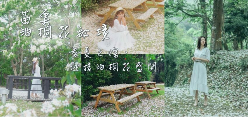 螢火蟲 【2025苗栗油桐花景點】精選16個苗栗賞桐景點!最新花況、賞花秘境懶人包 螢火蟲 2025 台北景點 【2025苗栗油桐花景點】精選16個苗栗賞桐景點!最新花況、賞花秘境懶人包 3 2025