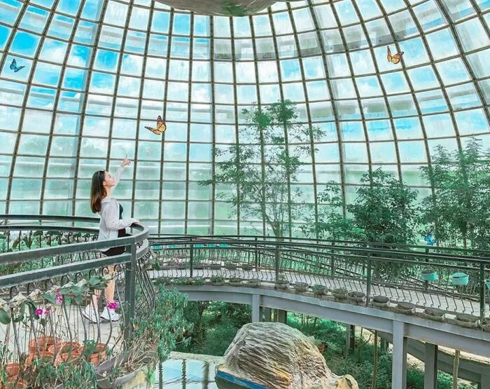 嘉義景點 2023嘉義景點推薦40個嘉義私房景點及嘉義一日遊路線!嘉義旅遊散步地圖這裡看 嘉義景點 2023 位於嘉義大學的新嘉大昆蟲館最大亮點是,擁有全球獨一無二「旋轉彩蝶柱」,高至天花板的透明柱體裡,依照蝴蝶的顏色排列了上千隻的美麗彩蝶標本,蝴蝶隨著柱子機關旋轉,整體畫面十分夢幻,也是最人氣的拍照景點。另外,溫室蝴蝶區是個具大球型溫室花園,種滿著綠色植物,沿著環型步道步行其中,便能看到蝴蝶在你眼前翩翩飛舞著,溫室不時會噴撒出水霧以保持室內的濕氣足夠植物生長,當水霧撒出時,那畫面就如同到了戲劇中的桃花仙境般夢幻。