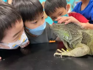 士林科教館,teamlab士林,台北士林科學教育館,台北士林科教館,台北士林科教館門票,台北市士林科教館,士林teamlab,士林區科教館,士林教科館,士林教育館,士林科博,士林科博館,士林科博館展覽,士林科博館活動,士林科博館門票,士林科學,士林科學博物館,士林科學教育館,士林科學教育館兒童,士林科學教育館展覽,士林科教,士林科教館teamlab,士林科教館介紹,士林科教館活動,士林科教館親子,士林科教館門票,士林科教館,科博館士林,科教館士林士林科教館,士林科教館,士林科教館門票,士林科教館展覽,IG打卡景點,teamlab, 一日遊, 交通, 台北, 台北景點, 台北百大景點, 台北科教館, 台灣燈會好玩卡景點,國立科學教育館,士林,士林科教館, 室內, 展覽, 打卡, 推薦, 教育, 景點, 科學, 科技, 科教館,聯票,藝術,親子,親子景點,門票優惠