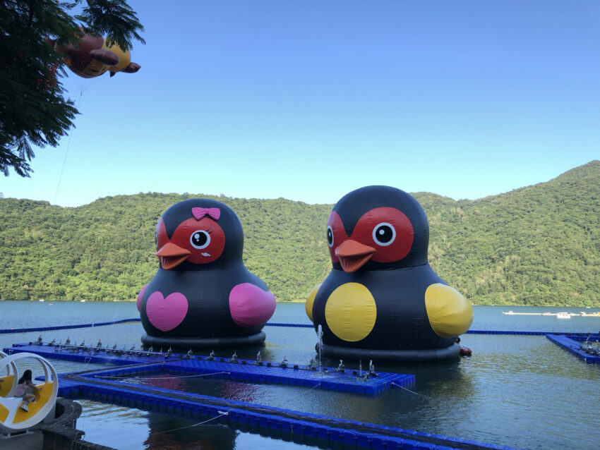 花蓮鯉魚潭 花蓮鯉魚潭｜划SUP、踩天鵝船、走環湖步道，夏日賞螢秘境【交通＆美食＆景點推薦】 2 2024