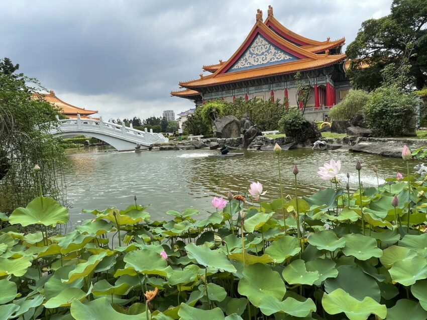 全台賞荷花景點｜夏日賞荷趣，精選10大荷花季景點，賞蓮花、荷花景點 3 2024