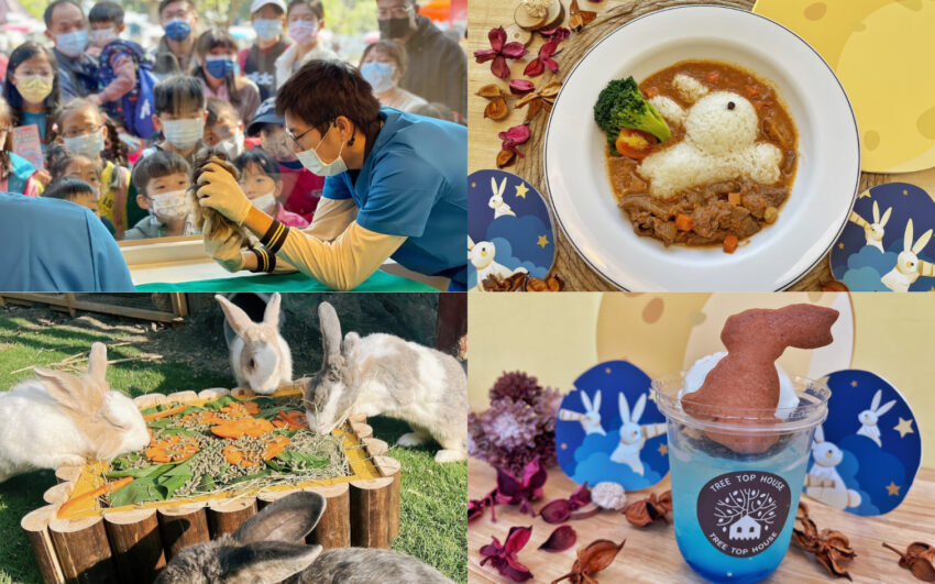 2023台南景點推薦頑皮世界野生動物園，最好玩台南親子景點攻略，水豚長頸鹿互動、門票優惠、交通停車、必看劇場、遊樂設施資訊 131 2023
