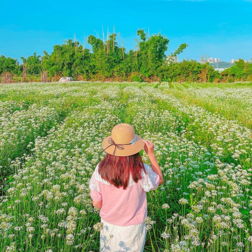 桃園【大溪景點】精選16大熱門大溪景點推薦，大溪一日遊就這樣玩吧！