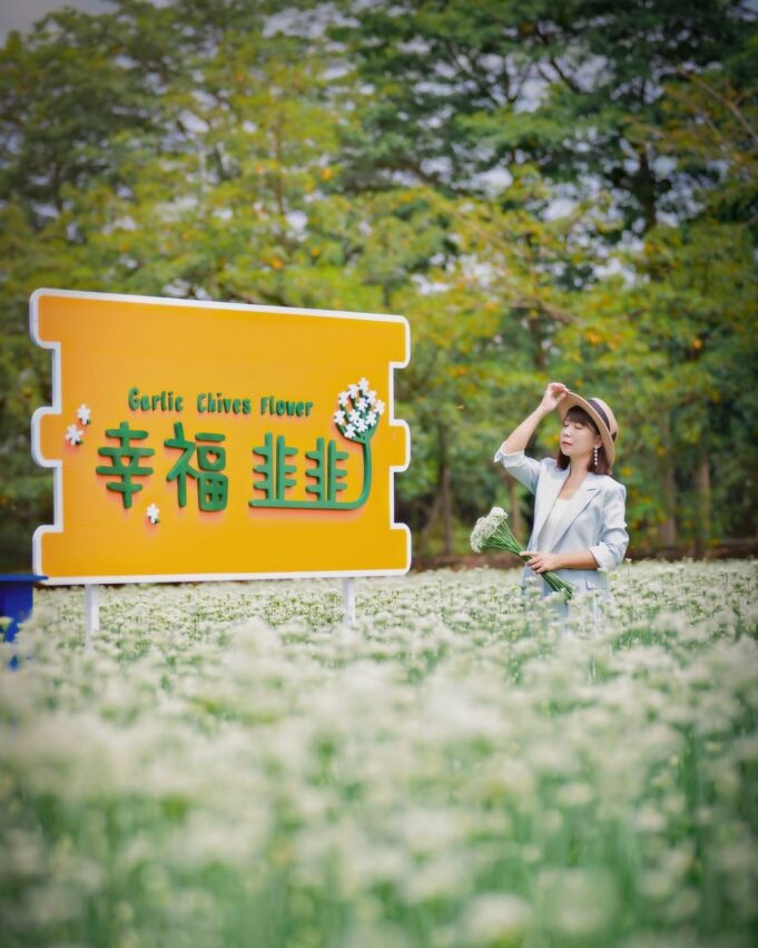 彰化景點 2023彰化景點推薦|親子小旅行、私房秘境、免費景點,IG網美打卡都在這,來彰化一日遊吧! 彰化景點 2023 幸福韭韭 彰化景點 彰化賞花 韭菜花田
