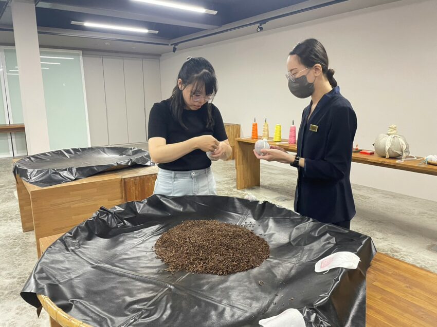 台灣好行溪頭,溪頭竹山 輕鬆乘台灣好行溪頭線，暢玩竹山溪頭趣！來場深度的知性之旅吧~ 70 2023