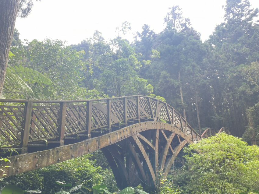 輕鬆乘台灣好行溪頭線，暢玩竹山溪頭趣！來場深度的知性之旅吧~ 32 2024