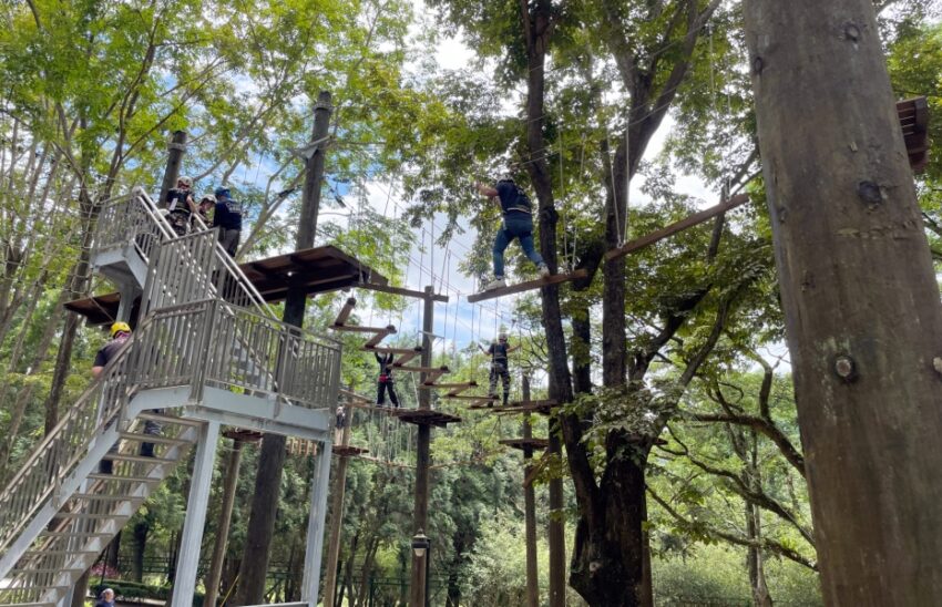 泰雅渡假村 哈扣公園 高空繩索場