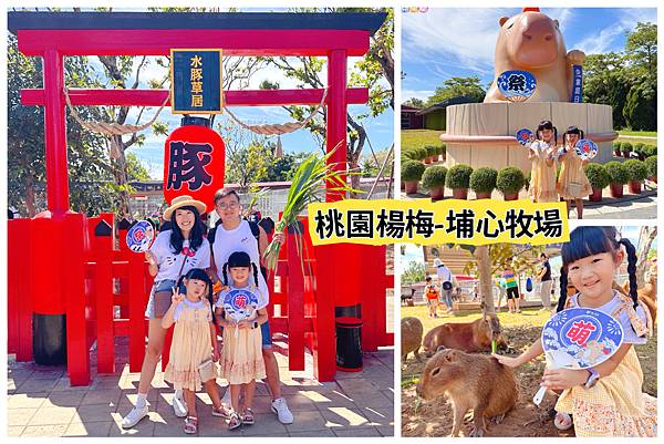 ★桃園景點★ 埔心牧場，最新亮點日式萌萌村開園了! 完整一日