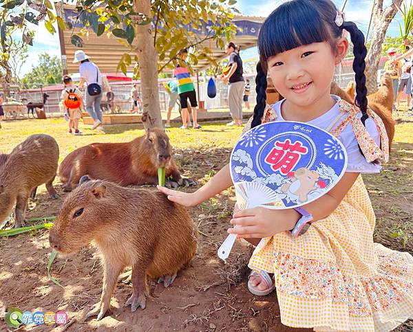 ★桃園景點★ 埔心牧場，最新亮點日式萌萌村開園了! 完整一日