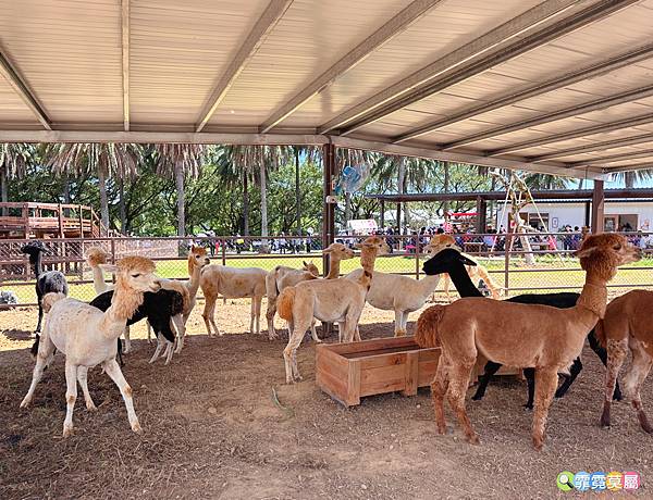 ★桃園景點★ 埔心牧場，最新亮點日式萌萌村開園了! 完整一日