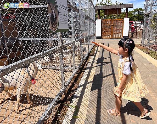 ★桃園景點★ 埔心牧場，最新亮點日式萌萌村開園了! 完整一日