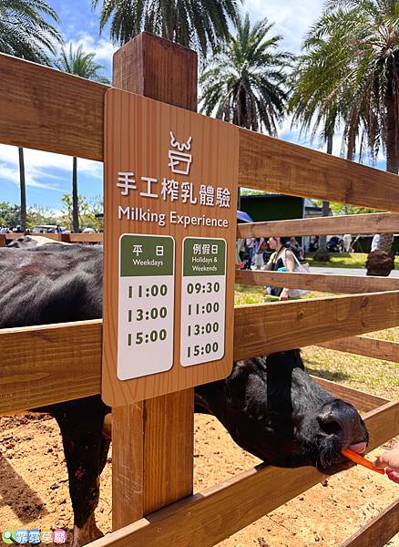 ★桃園景點★ 埔心牧場，最新亮點日式萌萌村開園了! 完整一日