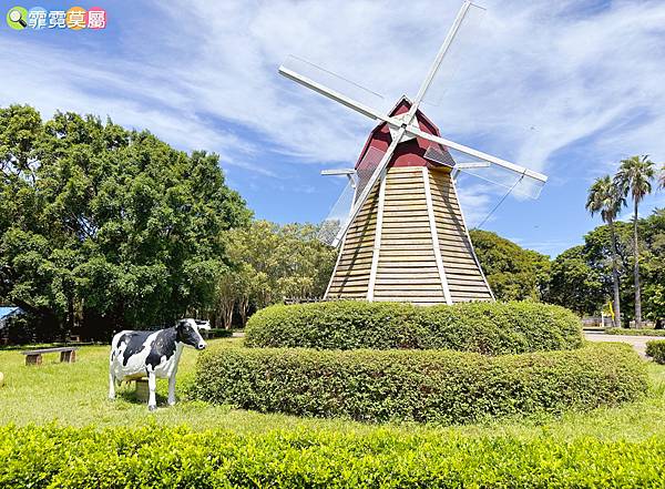 ★桃園景點★ 埔心牧場，最新亮點日式萌萌村開園了! 完整一日