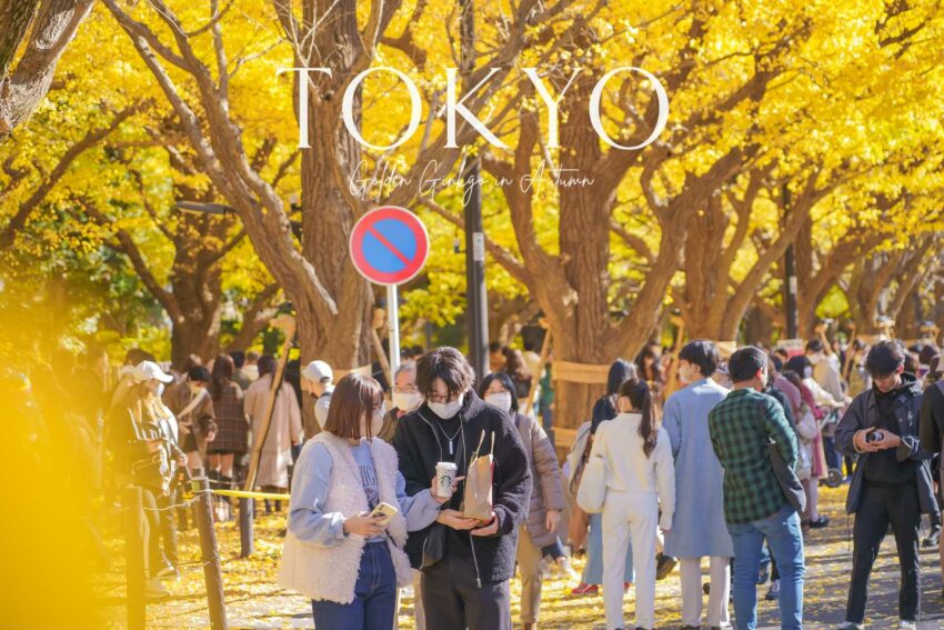 沖繩自由行 海外旅遊 2023 明治神宮外苑