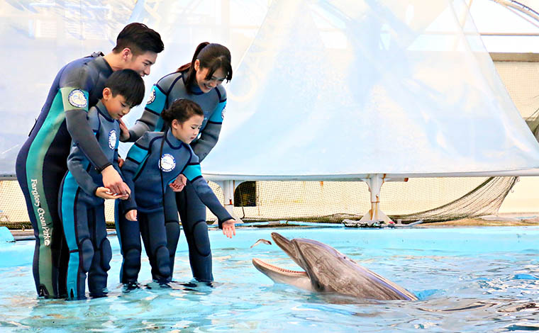 親親海豚體驗 遠雄海洋公園