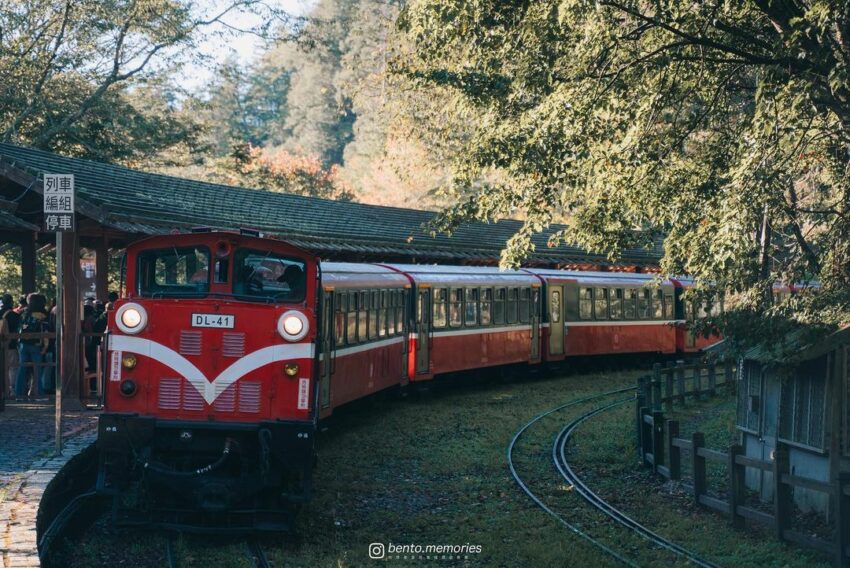 阿里山小火車 搭阿里山小火車怎麼玩？福森號/栩悅號通車時間、10大必訪景點路線、阿里山火車訂票教學、車票價格一次看！ 1 2024