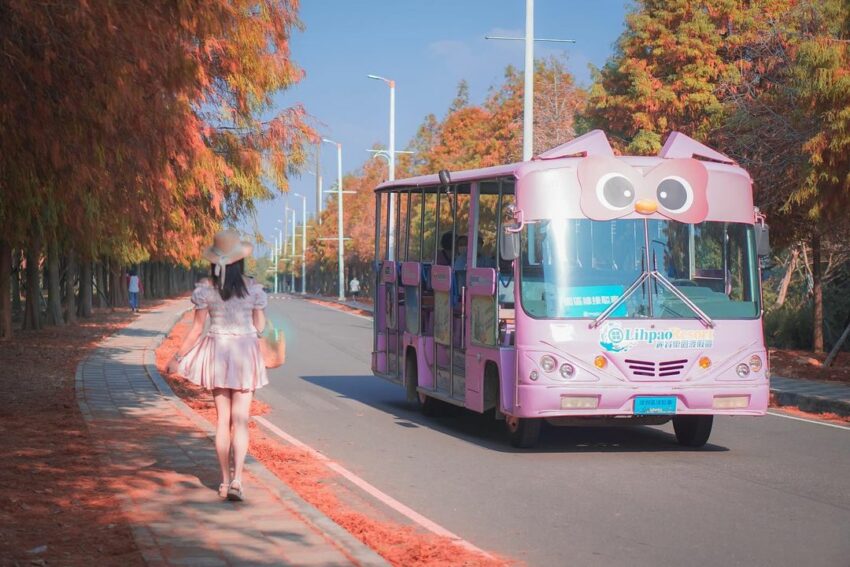 麗寶樂園 遊園車 落羽松