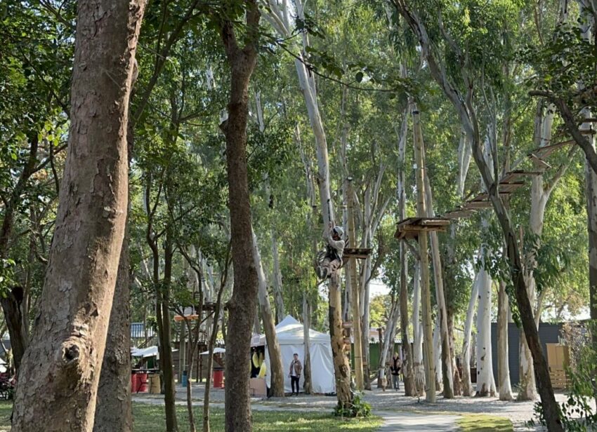 2024嘉義新景點,好玩又好萌的【咩咩上樹萌寵樂園】等你來體驗,最新門票優惠與園區資訊懶人包