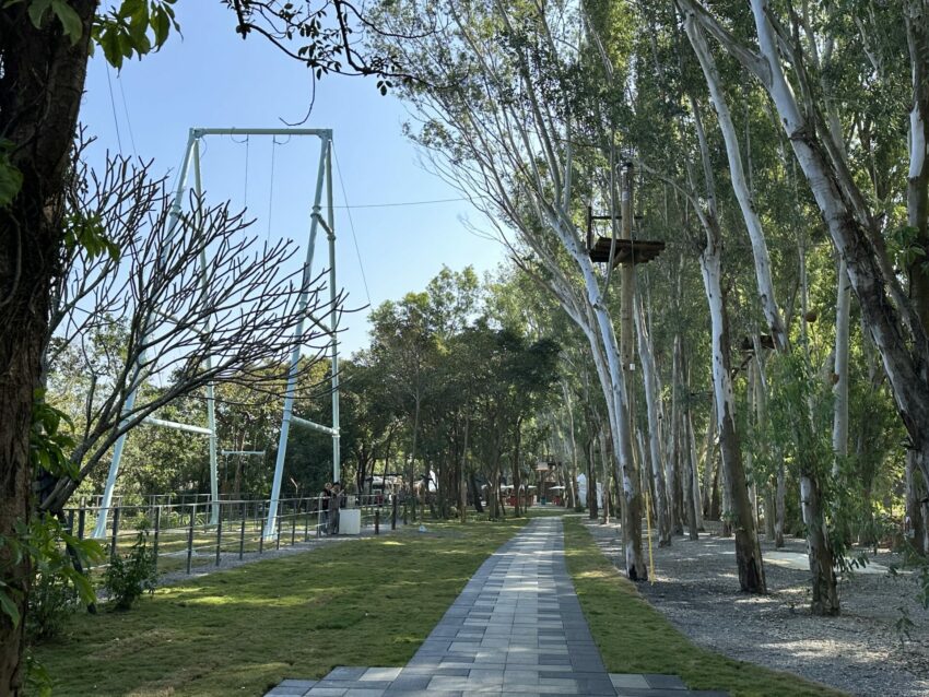 2024嘉義新景點,好玩又好萌的【咩咩上樹萌寵樂園】等你來體驗,最新門票優惠與園區資訊懶人包