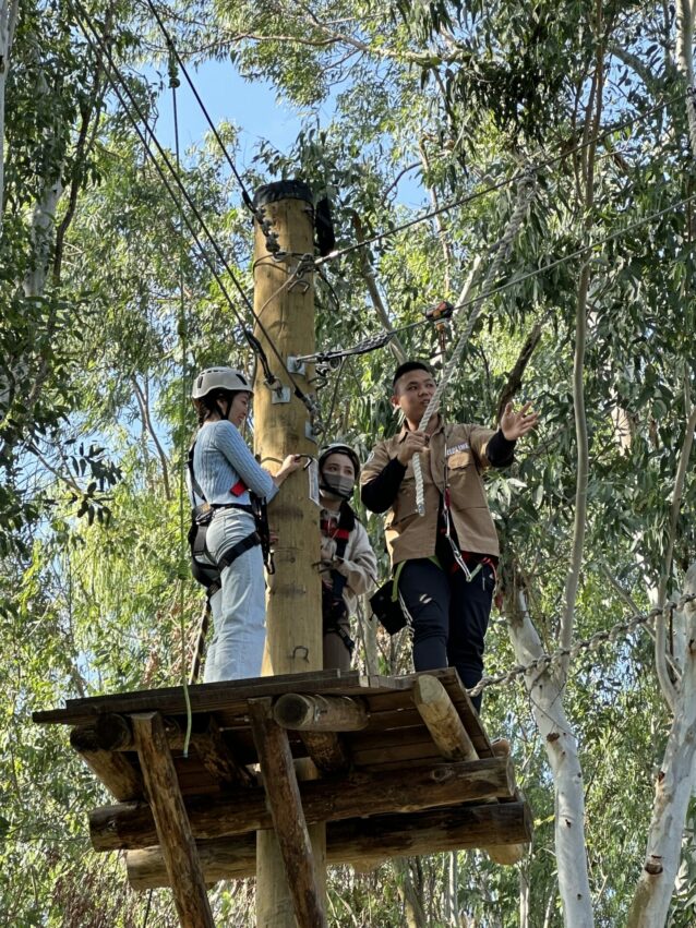 2024嘉義新景點,好玩又好萌的【咩咩上樹萌寵樂園】等你來體驗,最新門票優惠與園區資訊懶人包