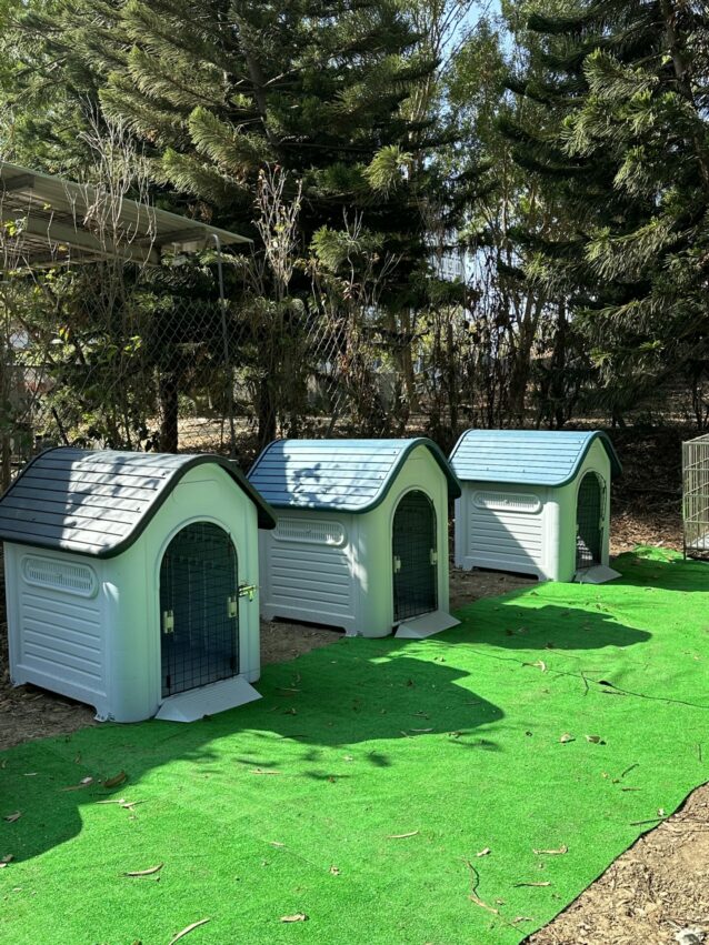 2024嘉義新景點,好玩又好萌的【咩咩上樹萌寵樂園】等你來體驗,最新門票優惠與園區資訊懶人包